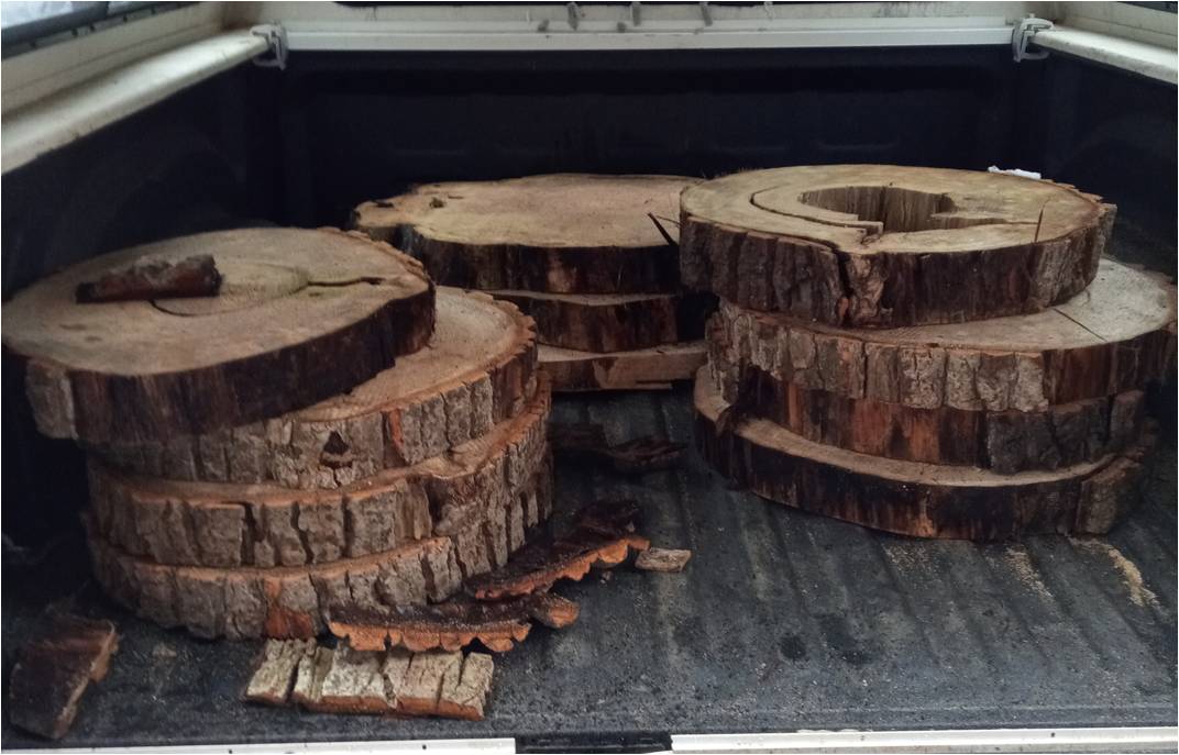 reclaimed wood slices ready for epoxy resin pour