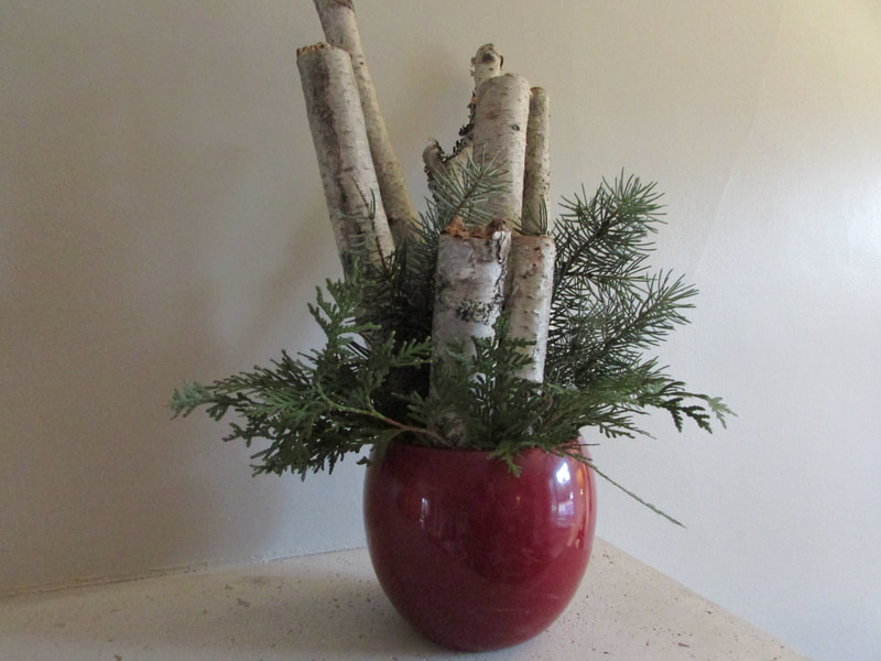 centrepiece made from fallen birch branches and evergreenery in a burgundy container